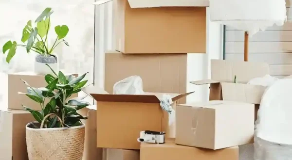 moving house company auckland moving house company auckland