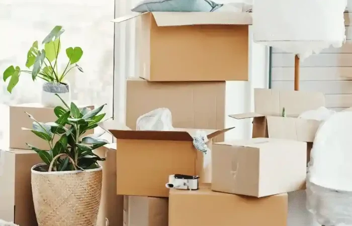 moving house company auckland moving house company auckland