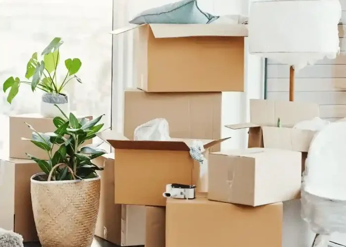 moving house company auckland