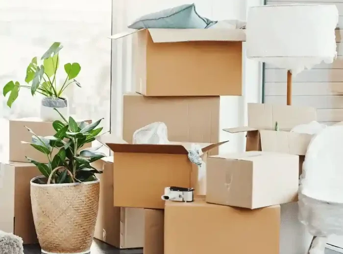 moving house company auckland moving house company auckland