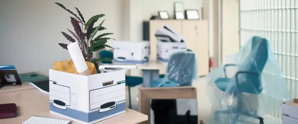 removals auckland removals auckland
